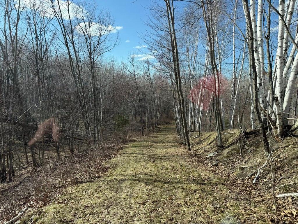 55000 Kueber Road Park Rapids MN 56470 7067541 image22