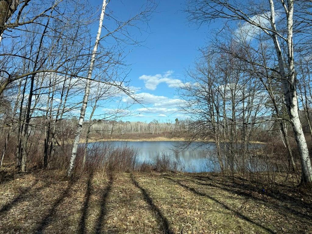 55000 Kueber Road Park Rapids MN 56470 7067541 image24