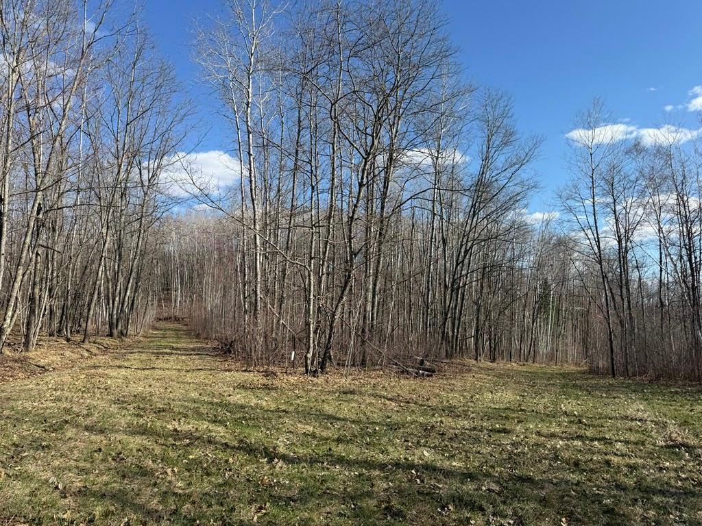 55000 Kueber Road Park Rapids MN 56470 7067541 image25