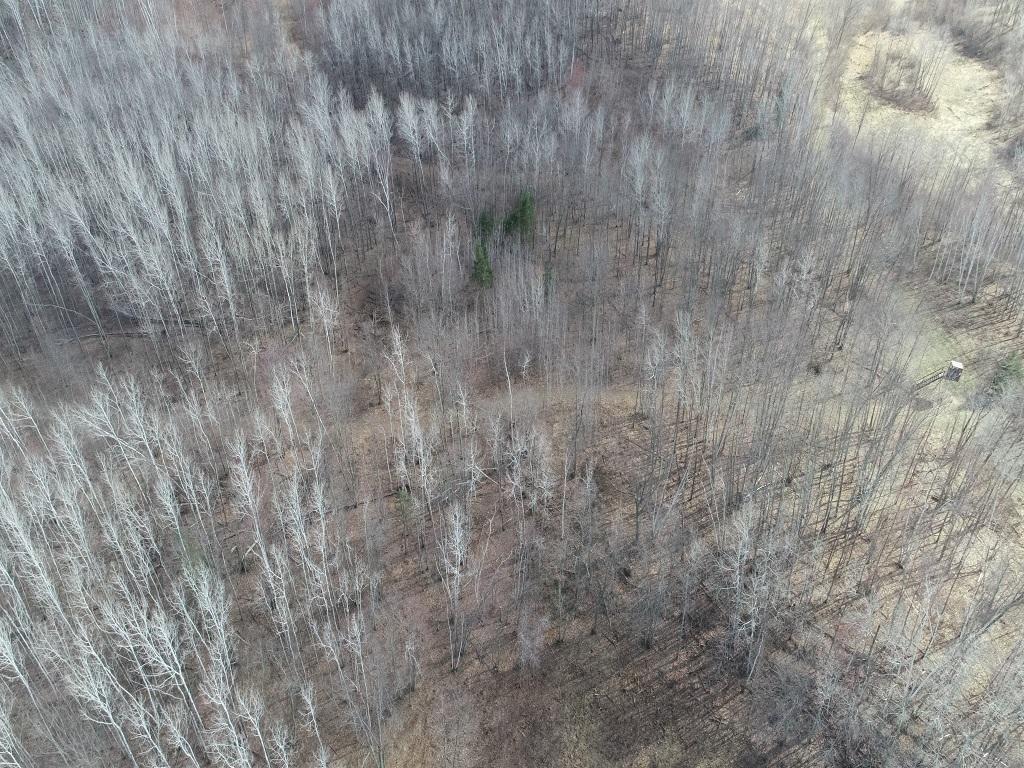 55000 Kueber Road Park Rapids MN 56470 7067541 image35