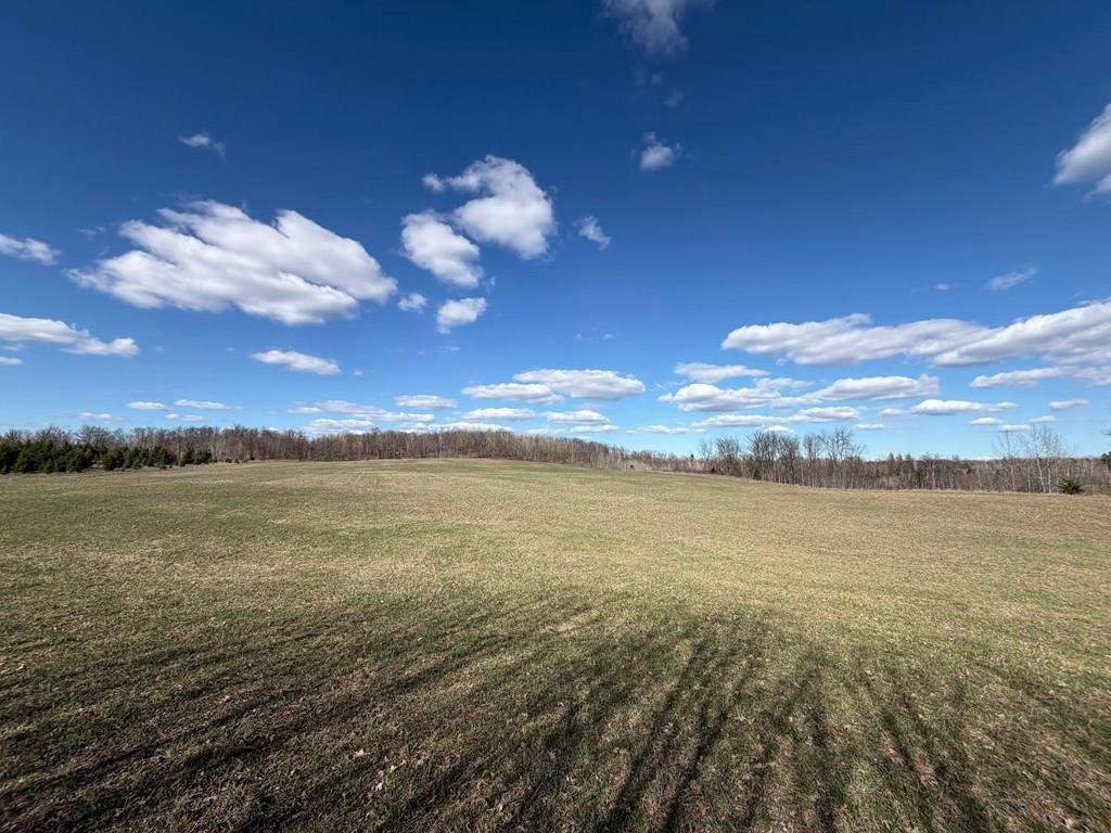55000 Kueber Road Park Rapids MN 56470 7067541 image4