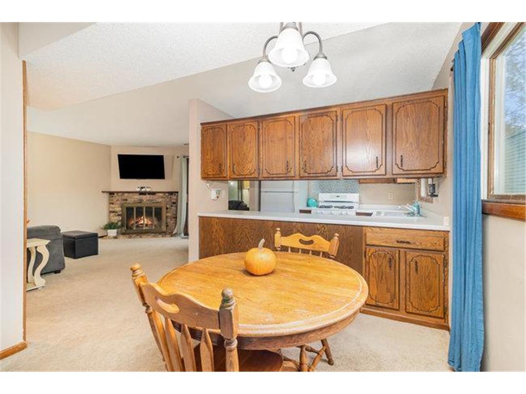 5503 E Bavarian Pass Fridley MN 55432 6809159 image8