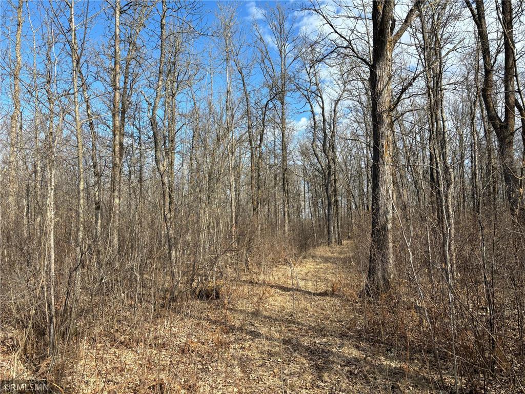 55133 Great River Road Palisade MN 56469 6518852 image1