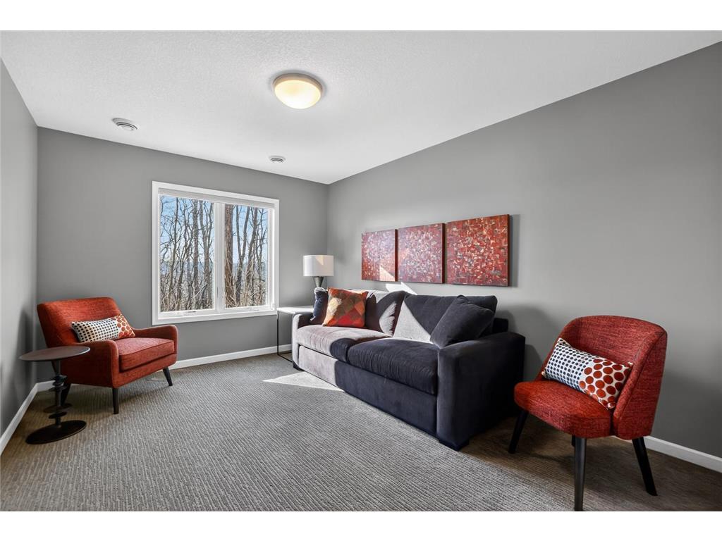 552 Panorama Circle NW Rochester MN 55901 7022054 image38