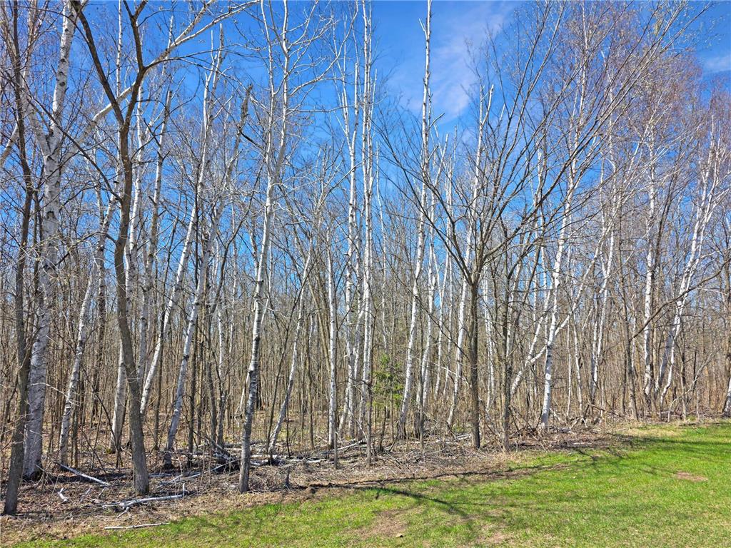 5520 36th Street SW Pine River MN 56474 7063624 image39