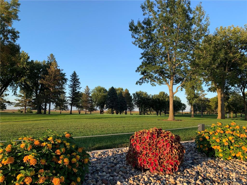 55235 County Road 38 Buffalo Lake MN 55314 - Allie 7037179 image11
