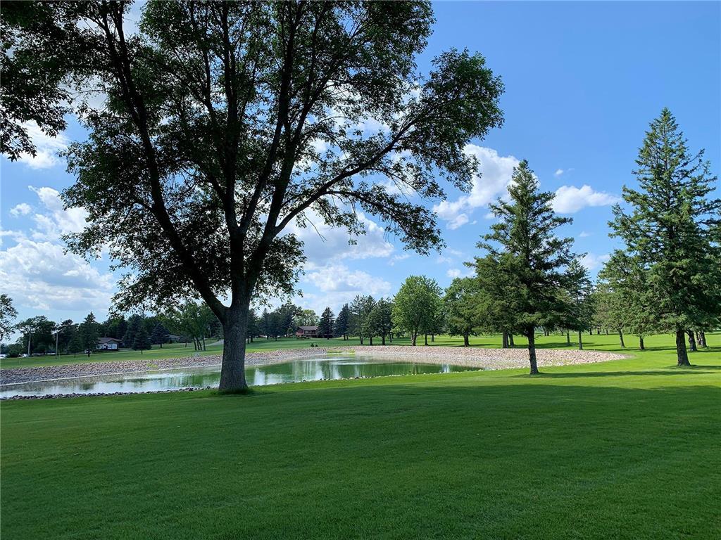 55235 County Road 38 Buffalo Lake MN 55314 - Allie 7037179 image14