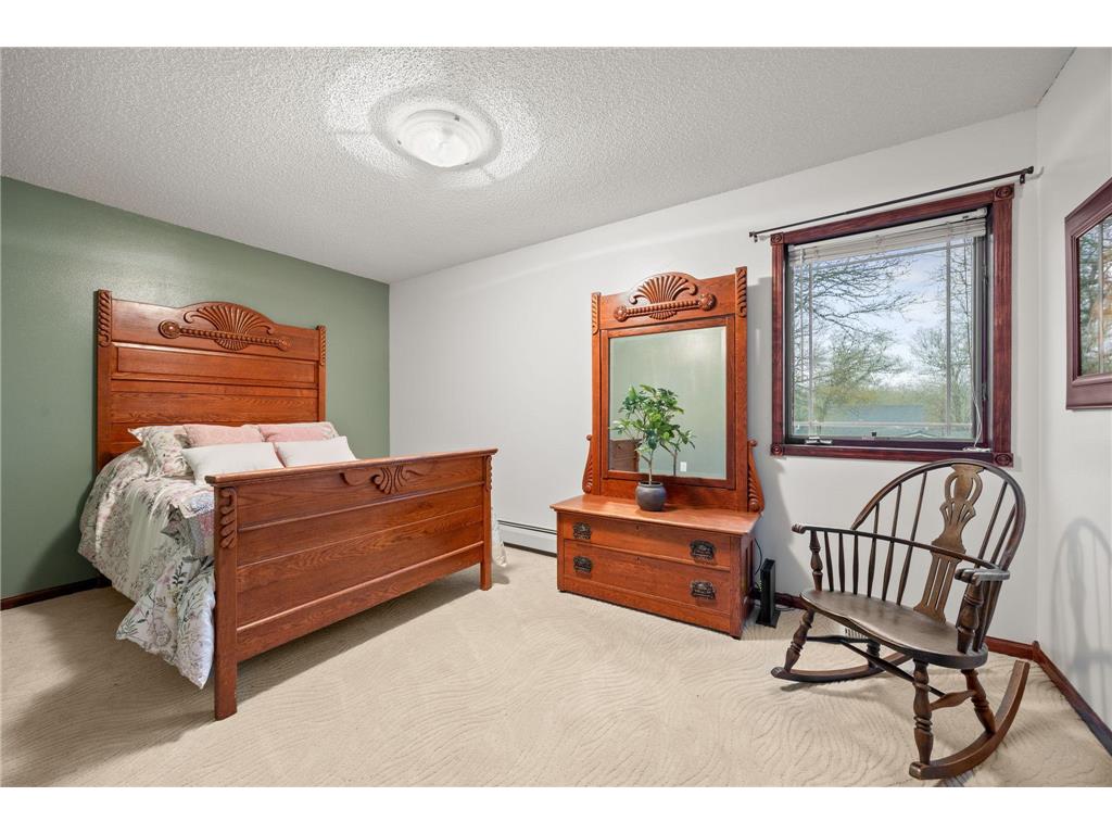55235 County Road 38 Buffalo Lake MN 55314 - Allie 7037179 image34