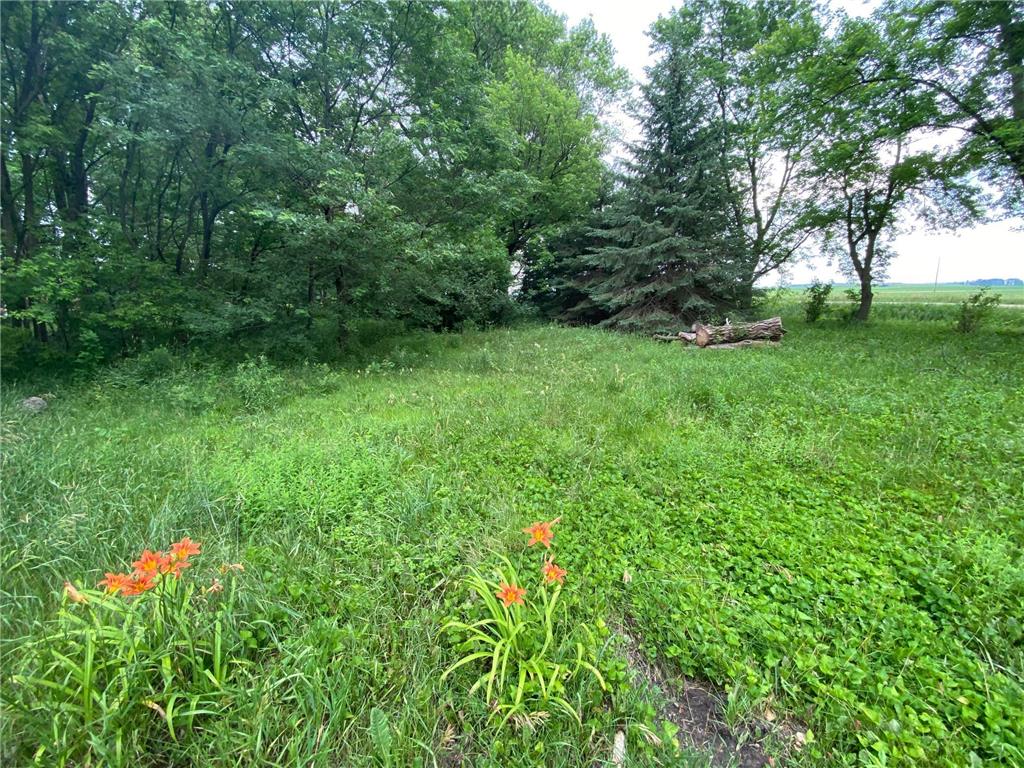 5528 SW 18th Street Owatonna MN 55060 6241706 image1