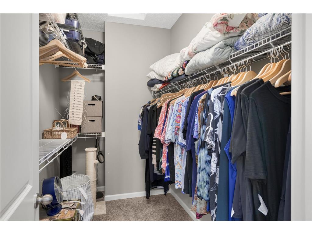 554 Cannon Way Dundas MN 55019 7080242 image25