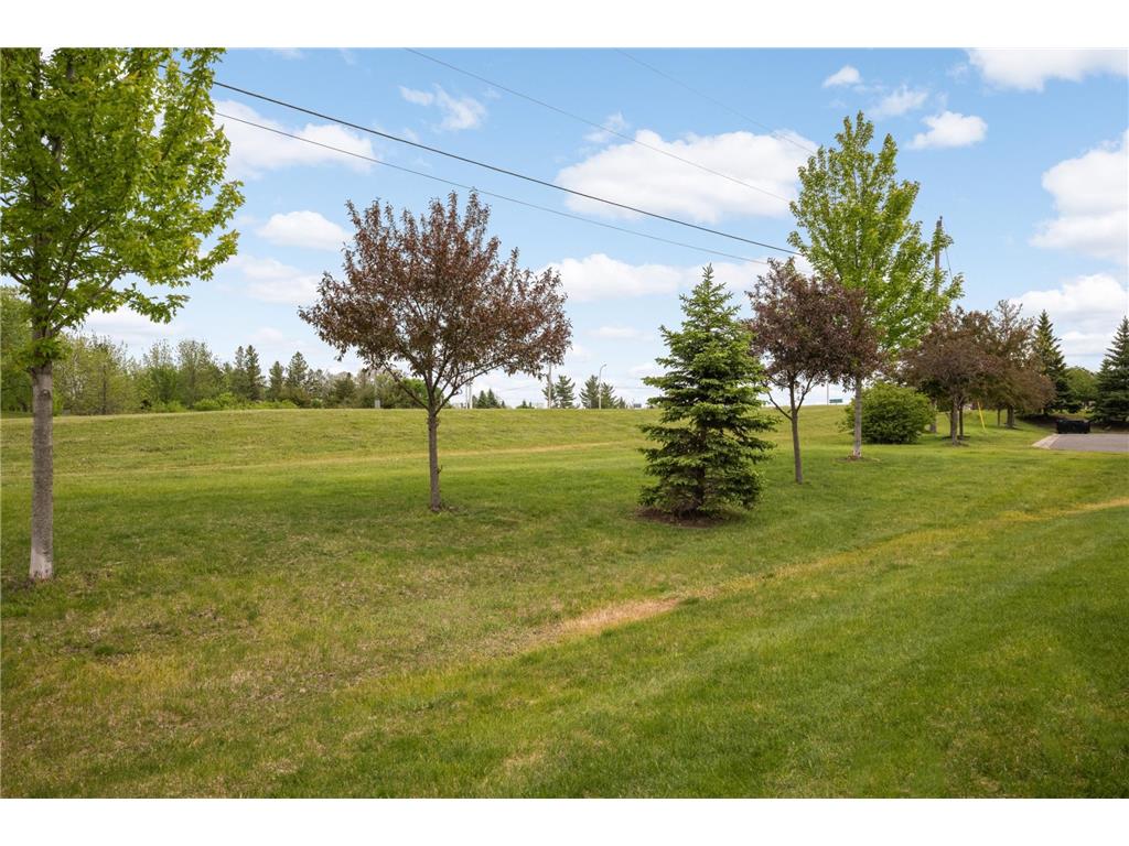 554 Cannon Way Dundas MN 55019 7080242 image29
