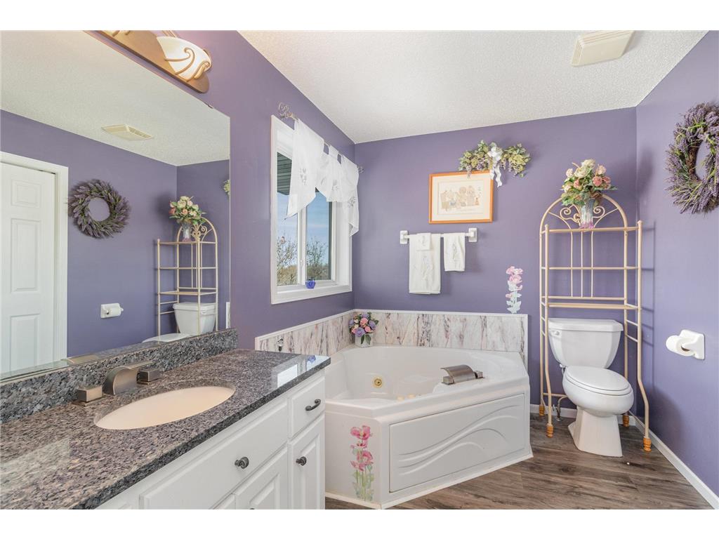 5541 Aberdeen Way Big Lake MN 55309 6823311 image9