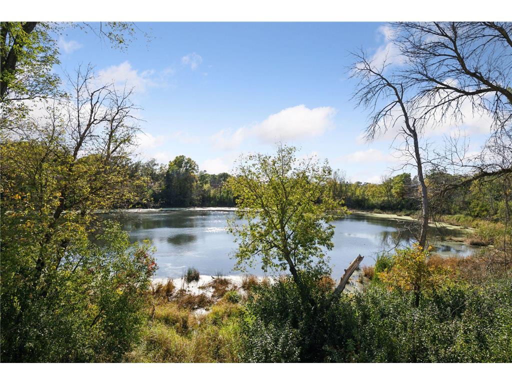 5541 Conifer Trail Minnetonka MN 55345 6780665 image38