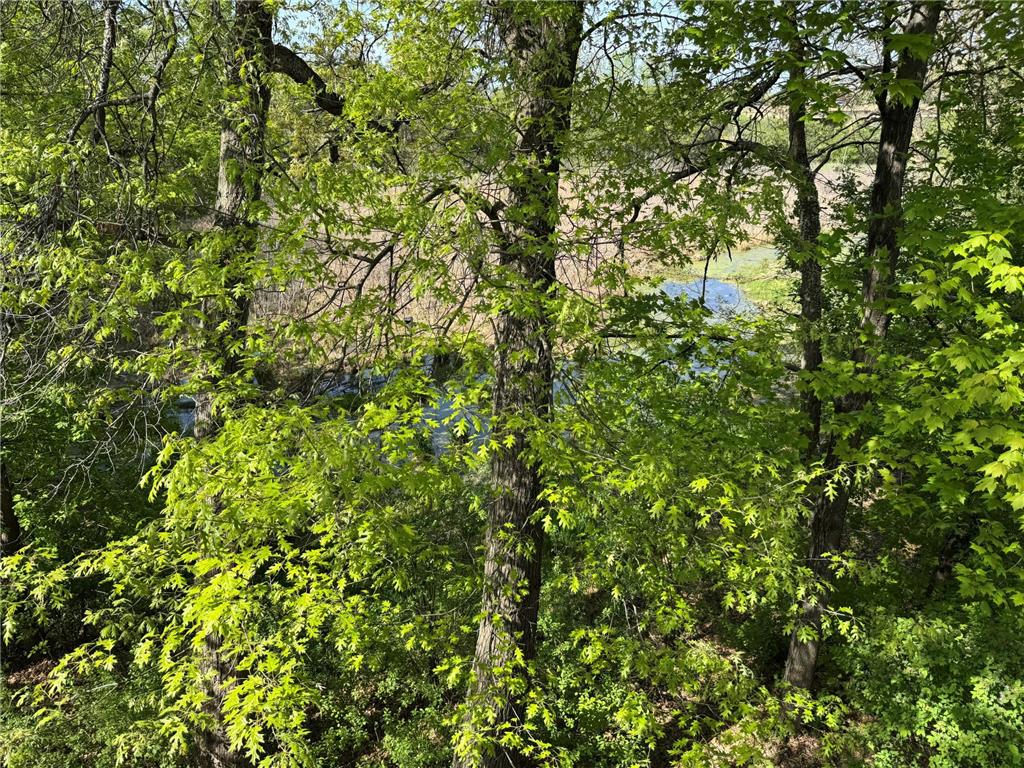 5542 Rowland Road Minnetonka MN 55343 7068667 image40