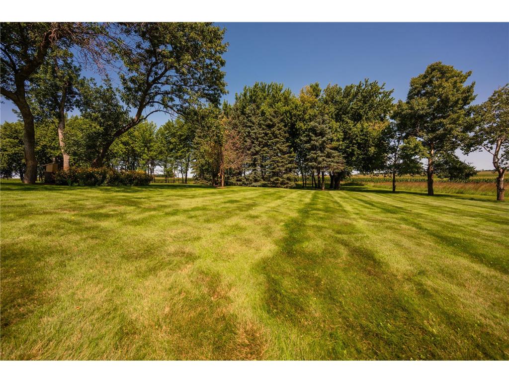 555 10th Street SE Benson MN 56215 6771224 image10