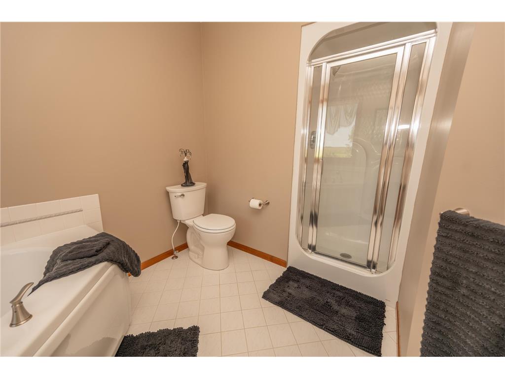 555 10th Street SE Benson MN 56215 6771224 image42