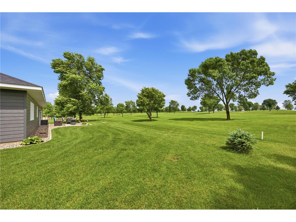 55536 County Road 38 Buffalo Lake MN 55314 - Allie 7086697 image32