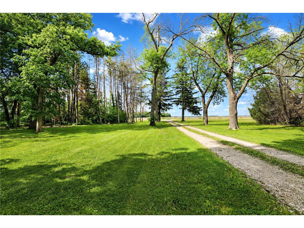55571 160th Street Lyle Twp MN 55912 7083574 image7