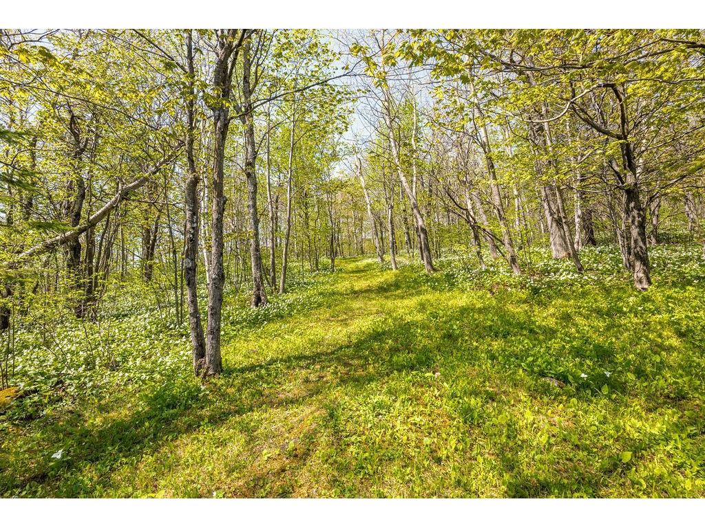 5558 E Grandview Road Proctor MN 55810 7084221 image3
