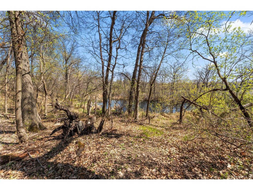 556 County Road C W Roseville MN 55113 6708093 image25