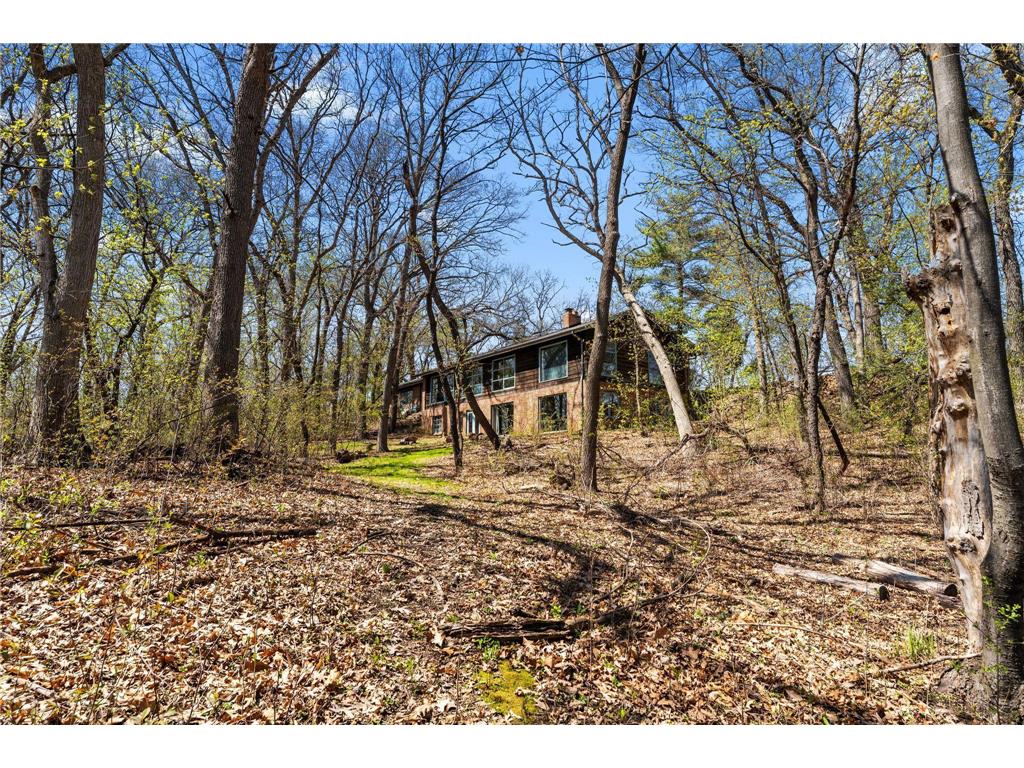 556 County Road C W Roseville MN 55113 6708093 image26