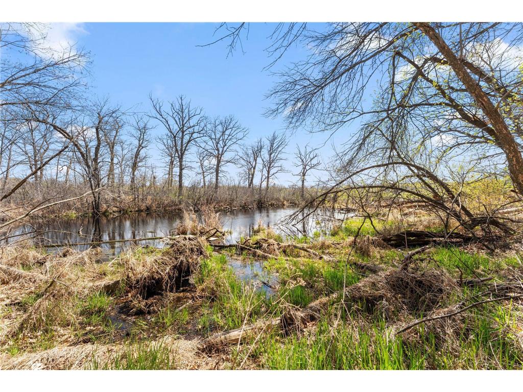 556 County Road C W Roseville MN 55113 6708093 image27