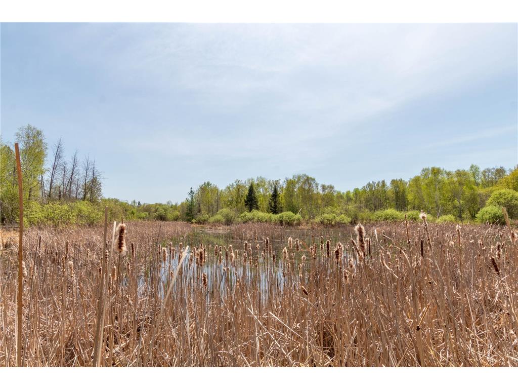 55671 County Road 126 Northome MN 56661 7080123 image34