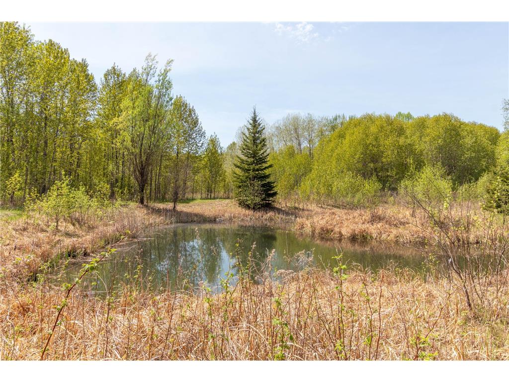 55671 County Road 126 Northome MN 56661 7080123 image39