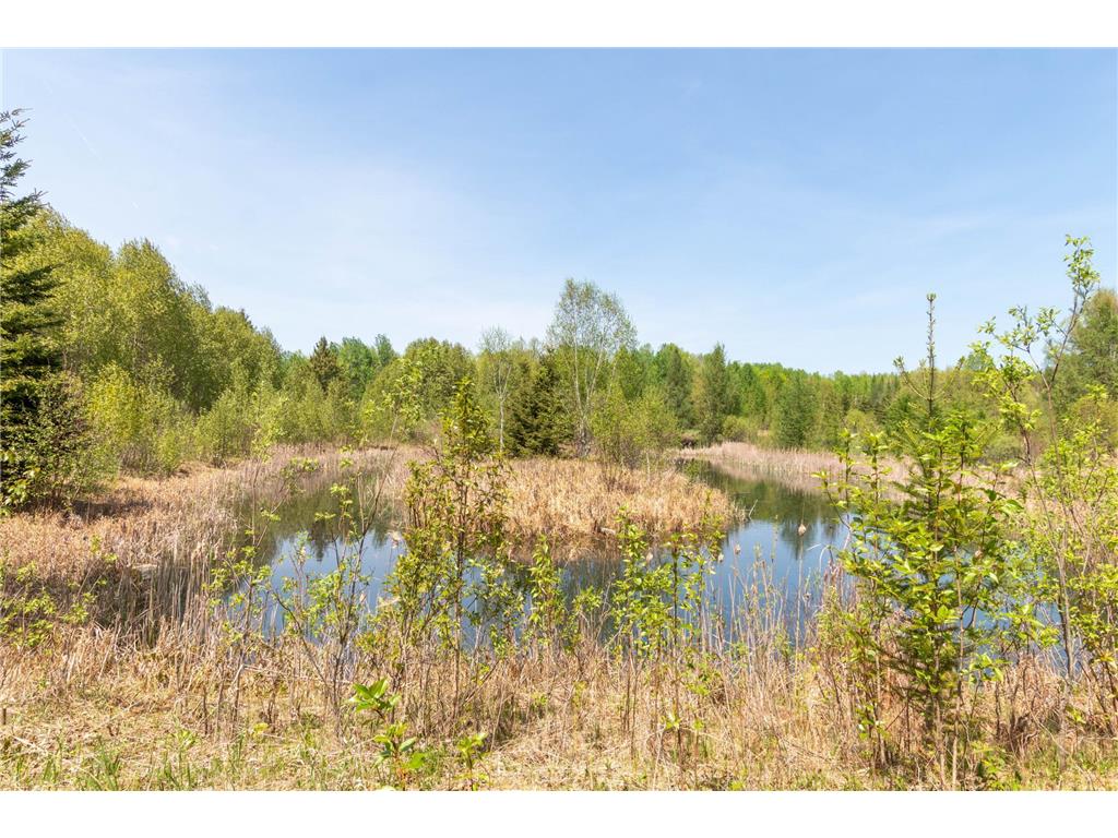 55671 County Road 126 Northome MN 56661 7080123 image40