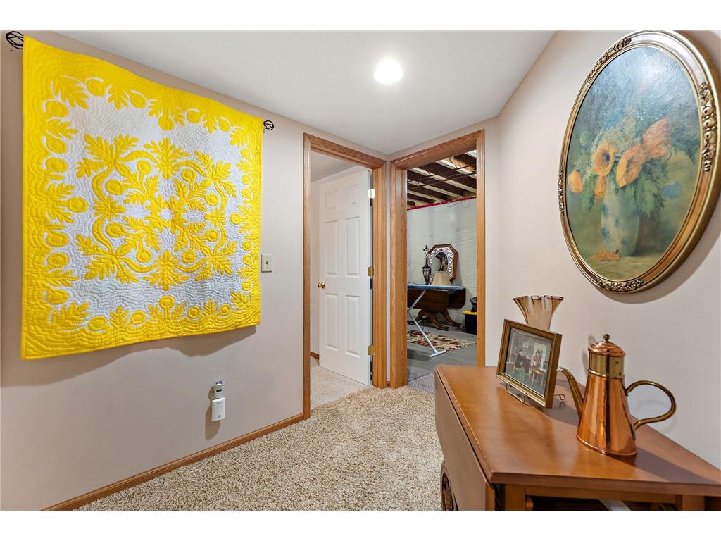 5568 129th Drive N Hugo MN 55038 7033159 image34