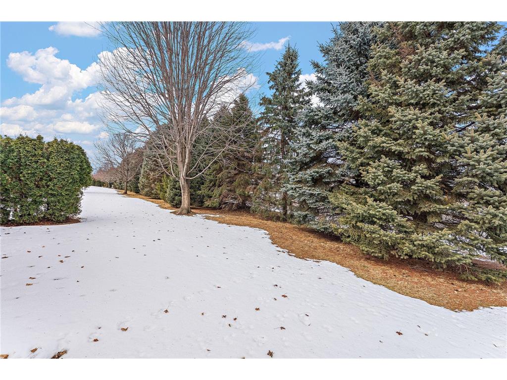 5568 129th Drive N Hugo MN 55038 7033159 image7