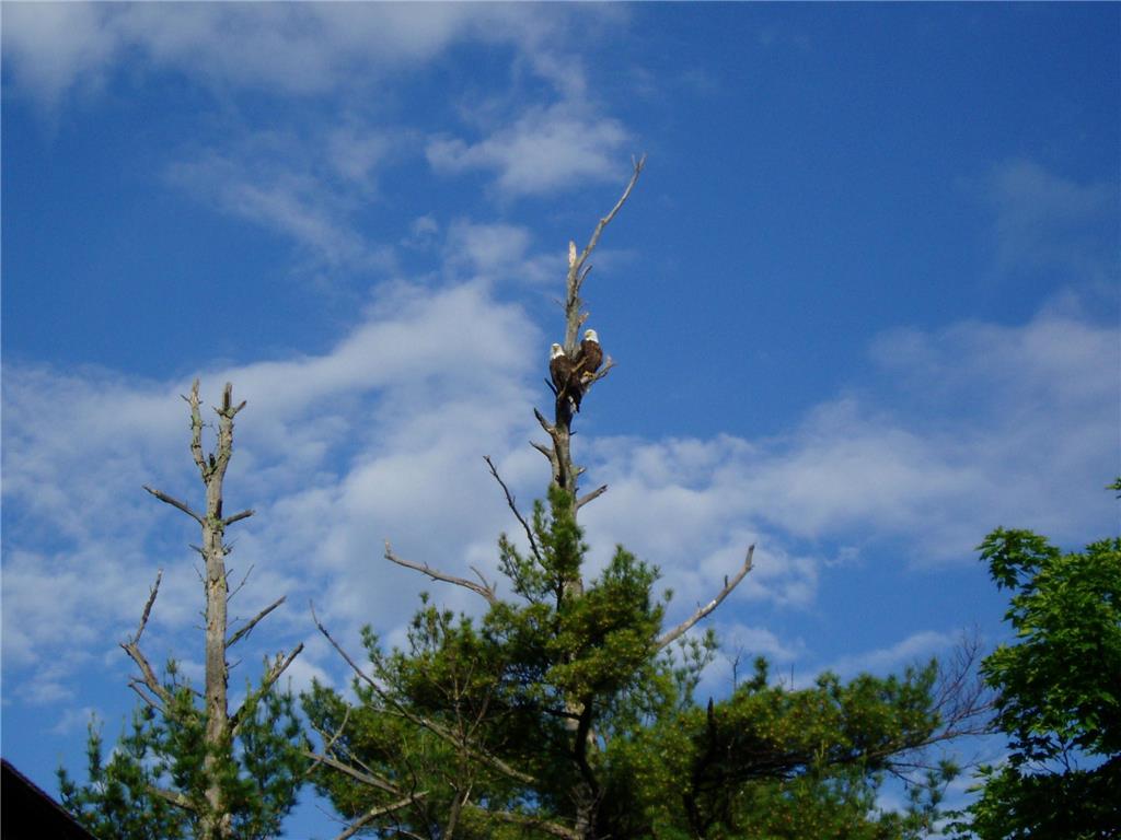 5568 50th Street NW Hackensack MN 56452 - Ten Mile 6807258 image88