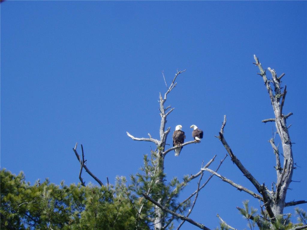 5568 50th Street NW Hackensack MN 56452 - Ten Mile 6807258 image89