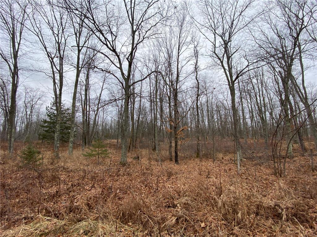 55695 Tamarack Pine Road Sandstone MN 55072 - Lower Tamarack River 6471219 image1