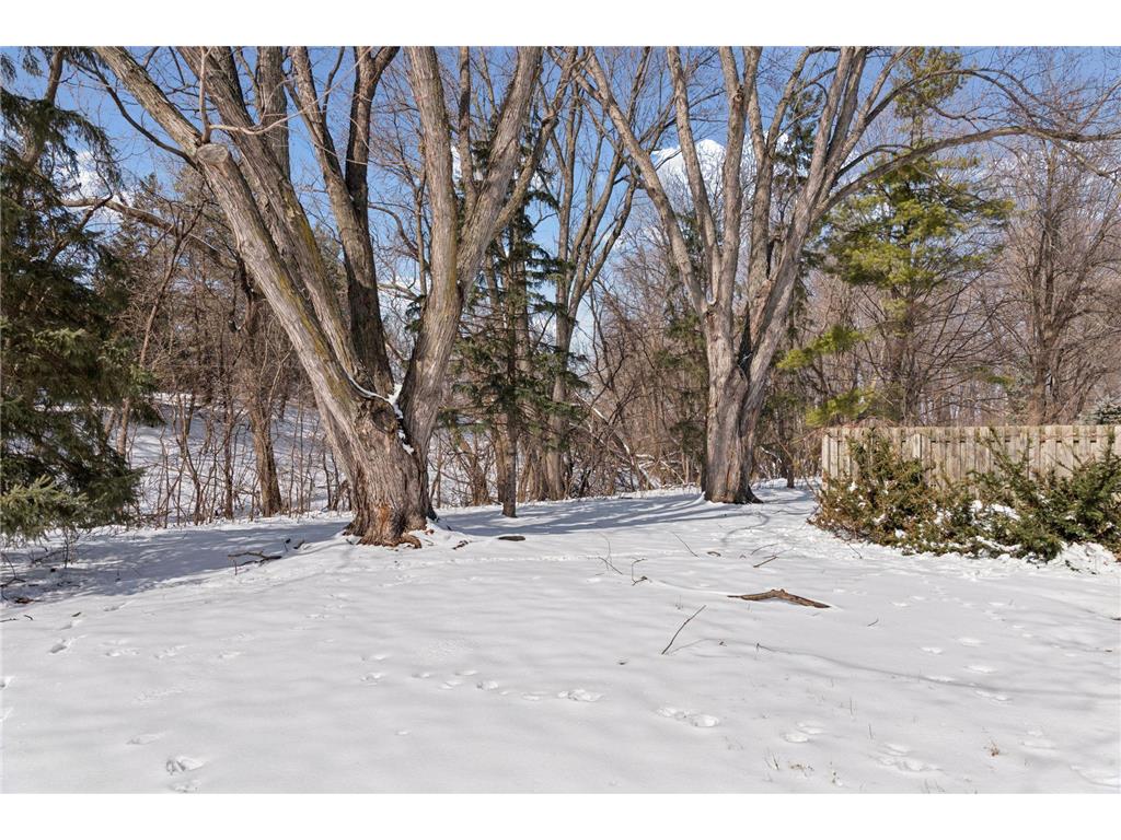 5570 & 5580 Shorewood Lane Shorewood MN 55331 7079447 image25