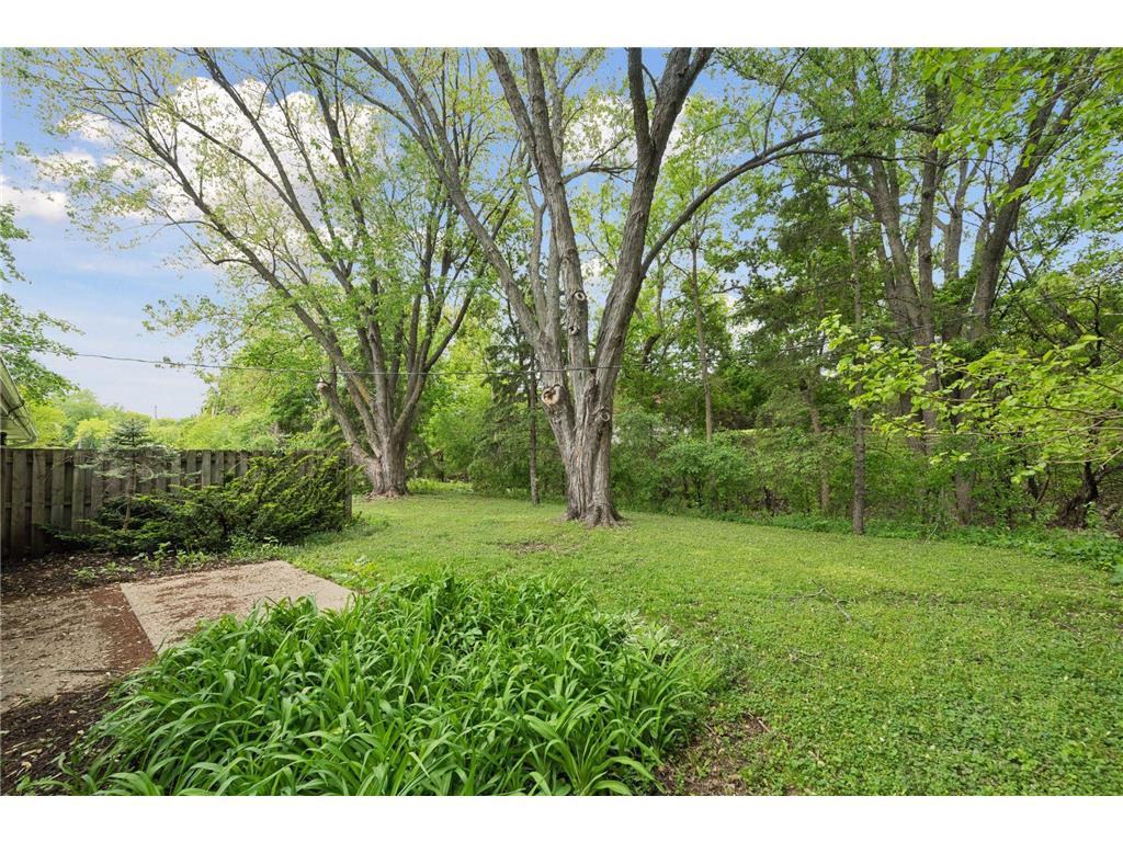 5570 & 5580 Shorewood Lane Shorewood MN 55331 7079447 image50
