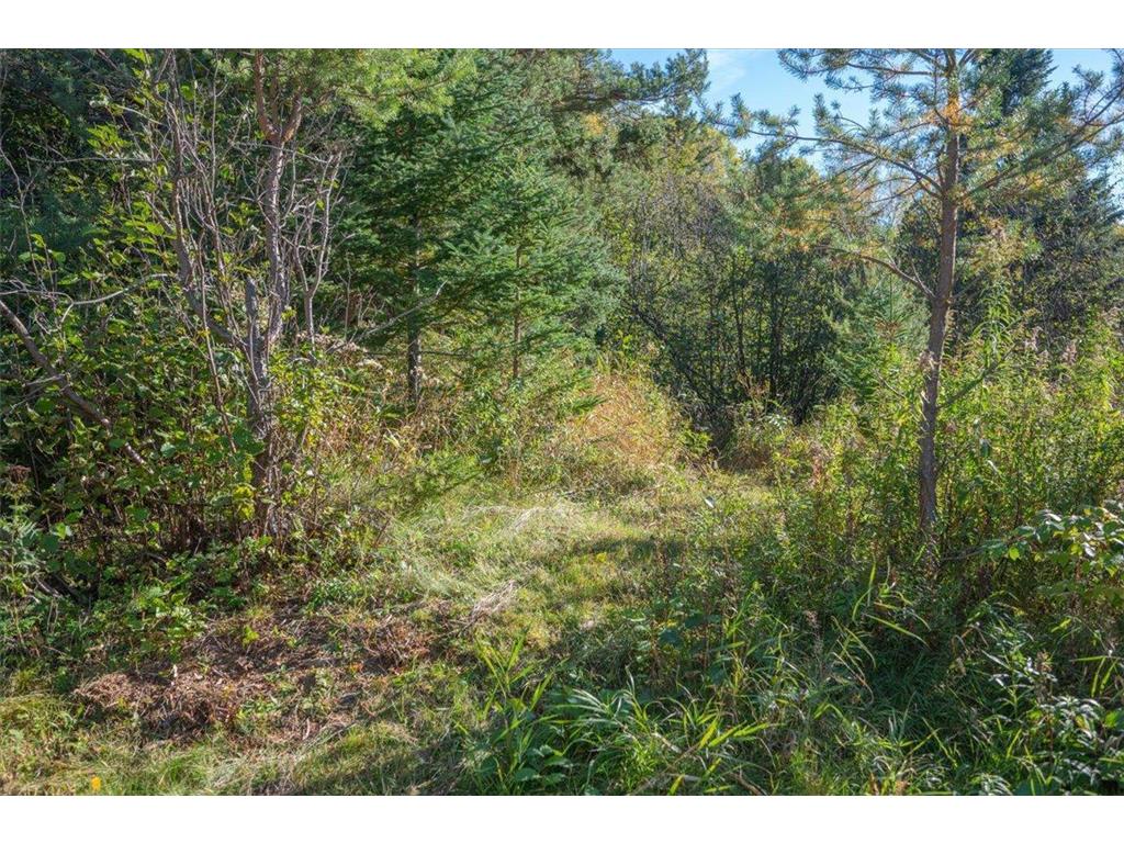 5570 Lester River Road Lakewood Twp MN 55804 - Talmadge River 6802137 image11