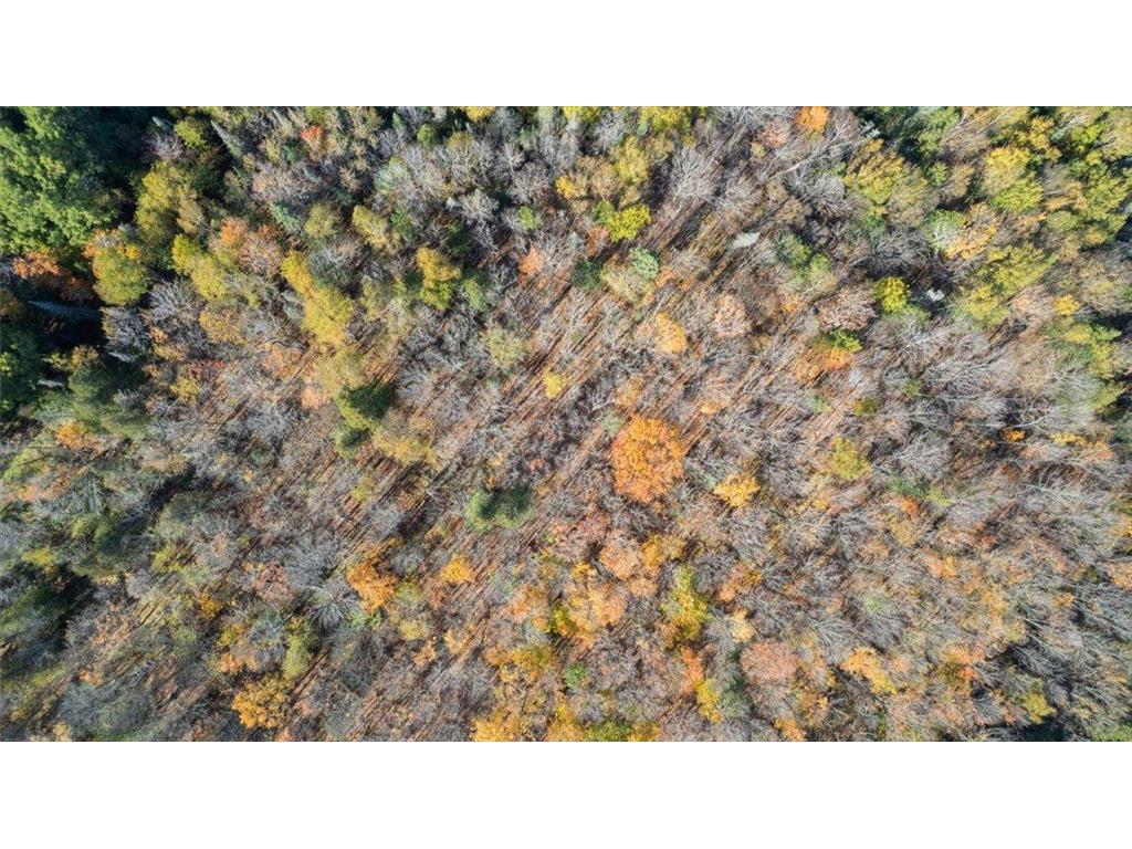 5570 Lester River Road Lakewood Twp MN 55804 - Talmadge River 6802137 image6