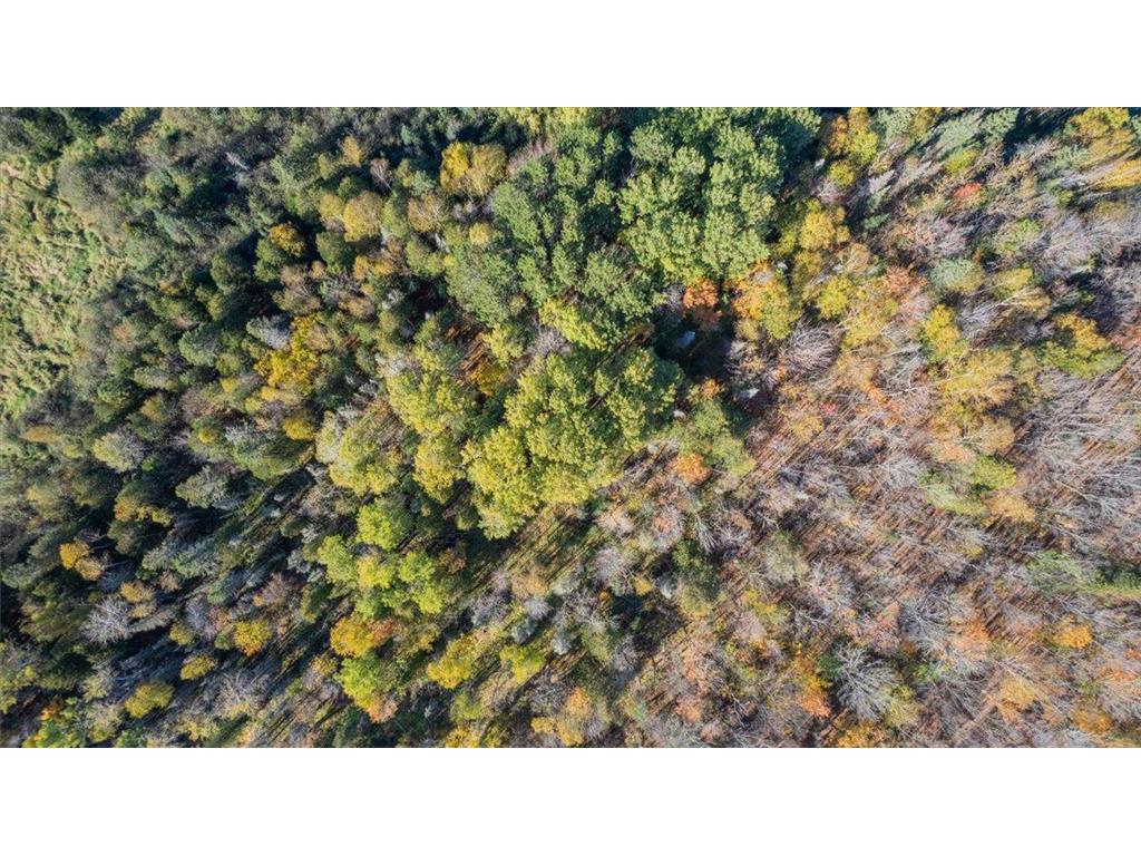 5570 Lester River Road Lakewood Twp MN 55804 - Talmadge River 6802137 image7