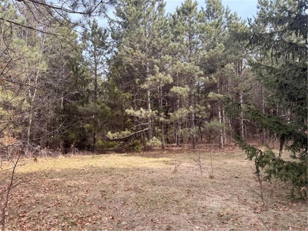 5583 Legend Lane Fort Ripley Twp MN 56401 7058559 image35