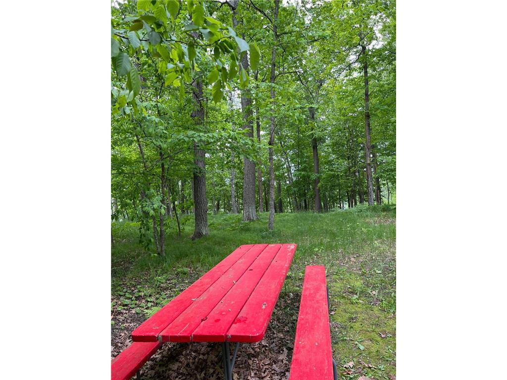 5585 Woods Bay Drive NE Crooked Lake Twp MN 56662 - Roosevelt 6739638 image19