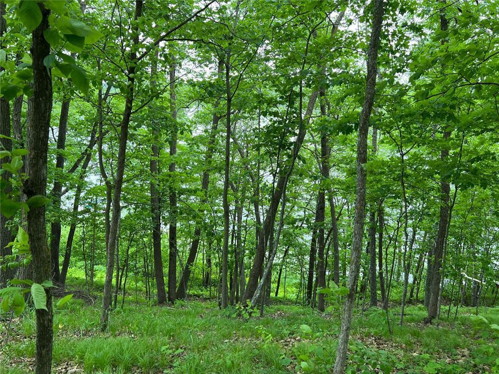 5585 Woods Bay Drive NE Crooked Lake Twp MN 56662 - Roosevelt 6739638 image2