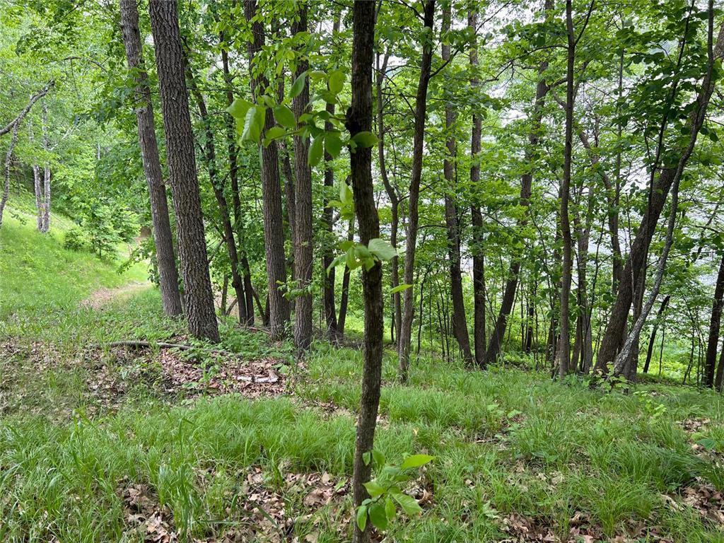 5585 Woods Bay Drive NE Crooked Lake Twp MN 56662 - Roosevelt 6739638 image22