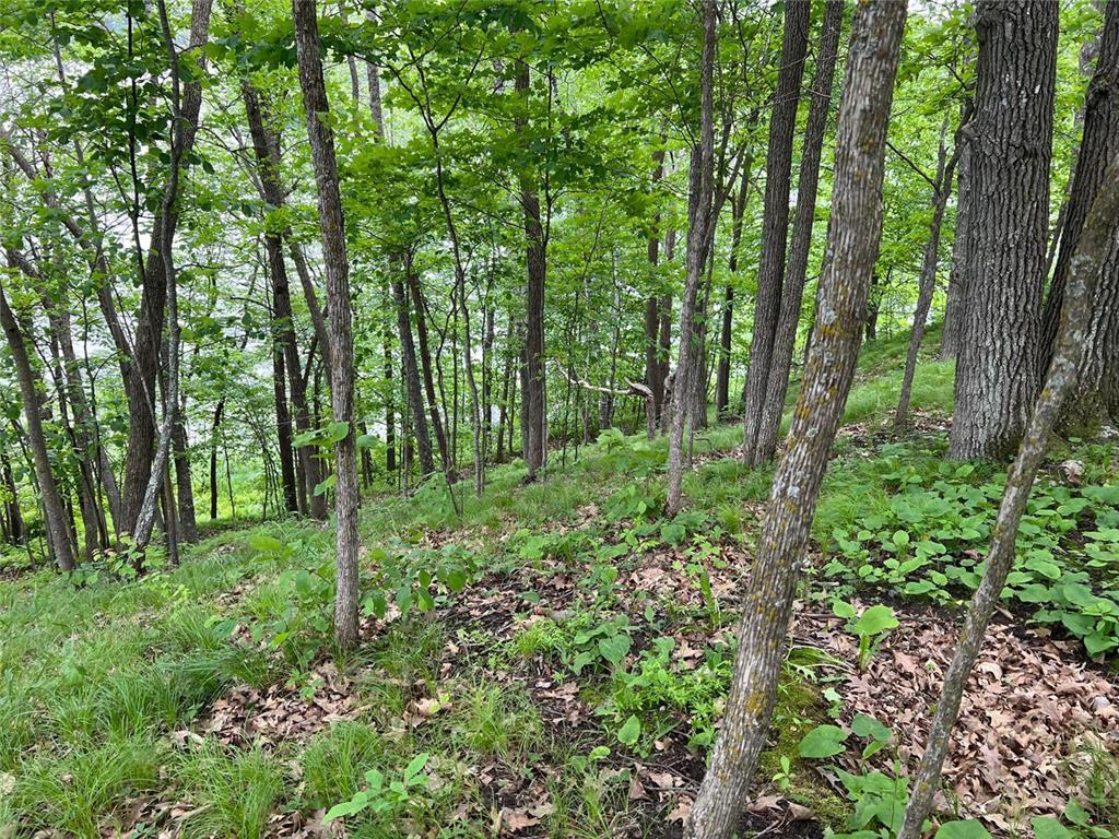 5585 Woods Bay Drive NE Crooked Lake Twp MN 56662 - Roosevelt 6739638 image23