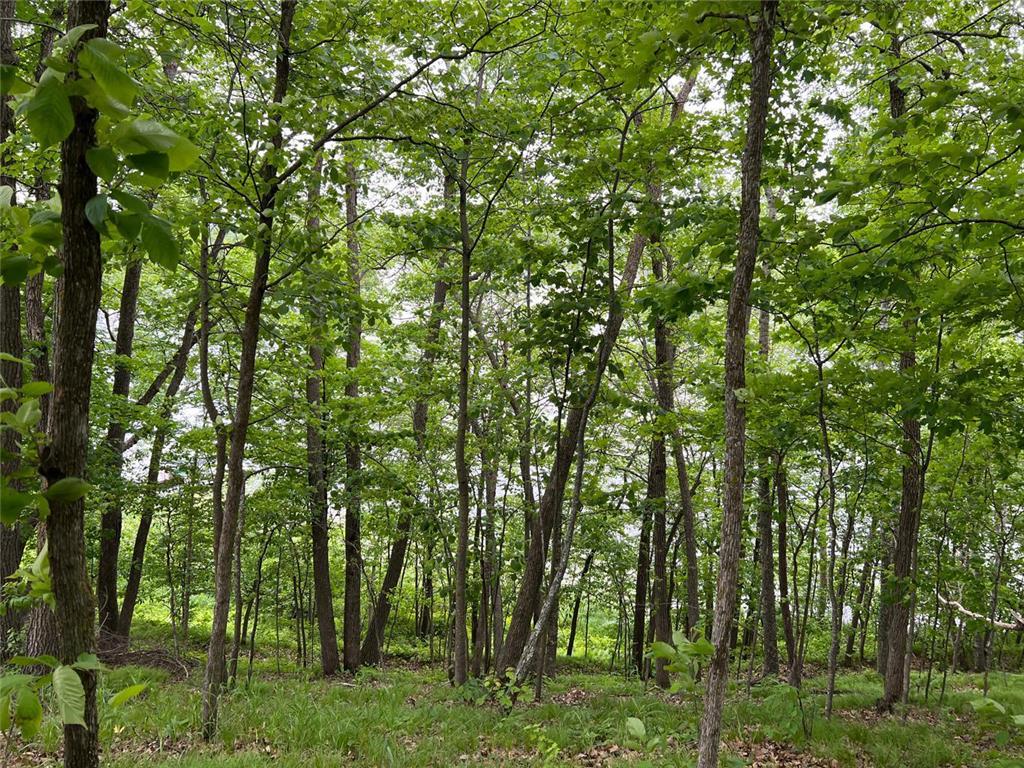 5585 Woods Bay Drive NE Crooked Lake Twp MN 56662 - Roosevelt 6739638 image24