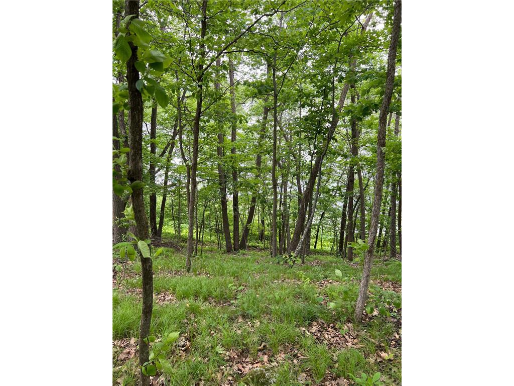 5585 Woods Bay Drive NE Crooked Lake Twp MN 56662 - Roosevelt 6739638 image25