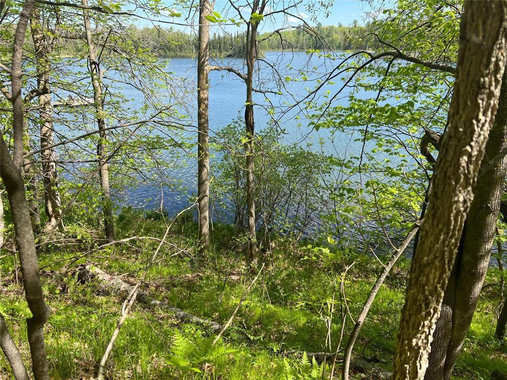 5585 Woods Bay Drive NE Crooked Lake Twp MN 56662 - Roosevelt 6739638 image34