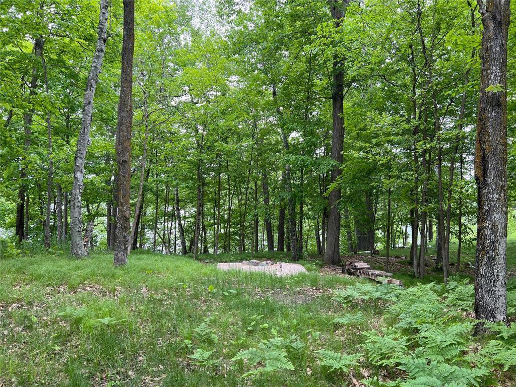 5585 Woods Bay Drive NE Crooked Lake Twp MN 56662 - Roosevelt 6739638 image4