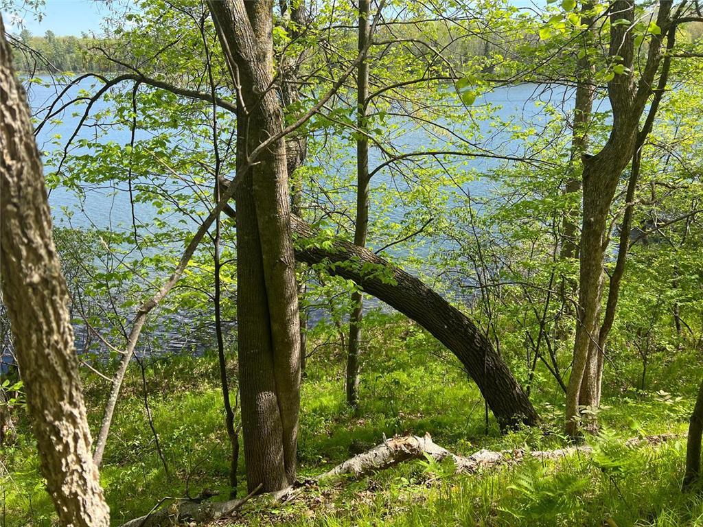 5585 Woods Bay Drive NE Crooked Lake Twp MN 56662 - Roosevelt 6739638 image5