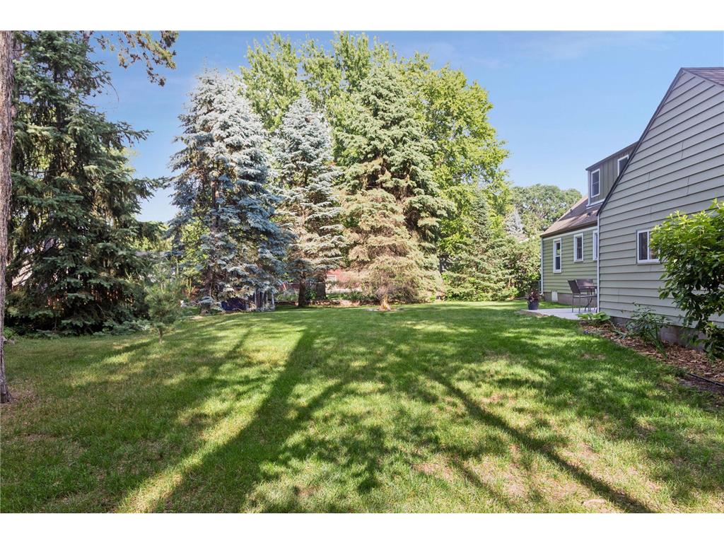 559 Tanglewood Drive Shoreview MN 55126 7090102 image27